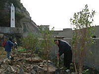 　莒光鄉綠美化造林工作積極展開。（圖／文：陳樂團）