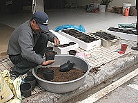 　夏天準備來了，&#22338;里農民開始培育瓜苗。（圖／文：陳鵬雄）
