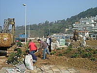 　莒光鄉展開綠美化工作，鄉長柯玉官親自上陣，駐軍一九四旅官兵、建設局園藝人員全力支援。（圖／文：陳樂團）