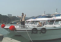 　全村一起來熱鬧！（圖與文：張登傑、陳樂團）