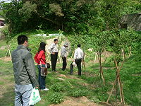 　建設局長柯木順等在莒光鄉瞭解推展綠美化成效。（圖／文：陳樂團）