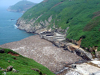 西引清水澳有很大一片海域遭垃圾覆蓋。(圖/文:陳其敏)