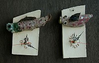 二忠陳秋惠：好笑的魚、二忠劉芝苓：斑點魚。