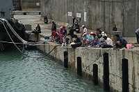 釣魚「颱」／圖與文：陳其敏