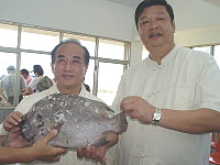 　全村一起來熱鬧！（圖與文：張登傑、陳樂團）