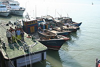 馬祖海巡隊在四鄉五島查扣非法越區作業之大陸籍漁船及船員。(圖/文:陳志銘)
