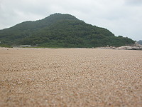 　&#22338;里沙灘沙子終於回來了！（圖／文：陳鵬雄）
