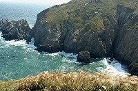 　全村一起來熱鬧！（圖與文：張登傑、陳樂團）