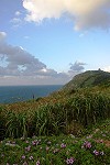　全村一起來熱鬧！（圖與文：張登傑、陳樂團）