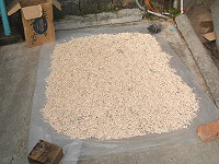 傳統地瓜籤,東莒瓜農自產自銷價格相當划算。(圖/文:林冰芳)