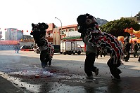 　全村一起來熱鬧！（圖與文：張登傑、陳樂團）