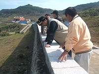 　陳雪生實際走訪海堤了解淘空現象。（圖／文：林冰芳）