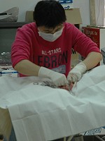 　建設局獸醫專業人員為東引駐軍部隊的犬隻進行結紮手術。（圖／文：陳其敏）