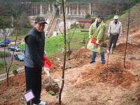 打造勝天公園山櫻花天地植樹節活動,副縣長徐文吉、主任秘書王忠銘及縣府主管們與民眾一起種植下山櫻花。(圖/文:林冰芳)