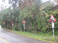 最危險路段？／圖與文：陳鵬雄