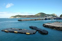 　東引中柱港的浮動碼頭已經不堪使用。（圖／文：陳其敏）