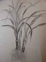 　全村一起來熱鬧！（圖與文：張登傑、陳樂團）