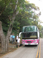　鄉公所與公車站及遊覽車業者會勘過長路樹，近日展開修剪。（圖／文：陳鵬雄）