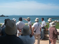 　了解東莒特性，志工朋友們從了解福正沙灘海濱動植物開始。（圖／文：林冰芳）