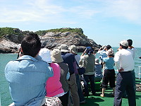 林務局代表及兩岸野鳥學者昨天到西莒觀察蛇山燕鷗,前天則討論黑嘴端鳳頭燕鷗的兩岸合作保育。(圖/文:邱竟瑋)