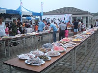 　繽紛海洋•魅力莒光，2007莒光花蛤節開幕。（圖／文：林冰芳）