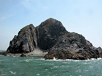 　全村一起來熱鬧！（圖與文：張登傑、陳樂團）