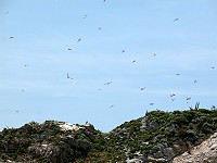 　全村一起來熱鬧！（圖與文：張登傑、陳樂團）
