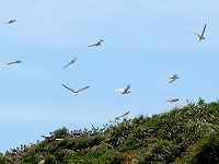　全村一起來熱鬧！（圖與文：張登傑、陳樂團）