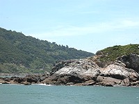 　全村一起來熱鬧！（圖與文：張登傑、陳樂團）