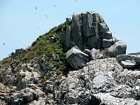 　全村一起來熱鬧！（圖與文：張登傑、陳樂團）