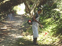 　東引指揮部支援弟兄整理東湧水庫綠色隧道。（圖：供水站提供）