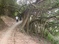 發現新樂園－大坵生態之旅　圖與文：陳鵬雄