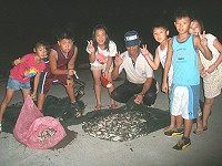 不需出動船隻的黃雞魚牽罟收穫滿滿。(圖/文:林冰芳)