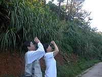 　秋天的馬祖非常適合賞鳥，台北鳥會成員每年都來。（圖／文：陳鵬雄）