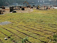 　東引南澳海埔新生地塵土飛揚的景觀，將由綠色草皮取代。（圖／文：陳其敏）