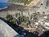 東引駐軍與鄉公所清潔人員共同清理北澳口垃圾。(圖:東引鄉公所提供)
