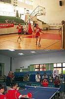 九十六年度本縣國中小校際球類競賽,國中羽球、國小桌球昨天舉行。(圖/文:邱竟瑋)