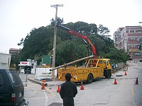 　馬中下方兩根電線桿及電線被砂石車扯斷，台電出動工程車搶修。（圖／文：邱竟瑋）