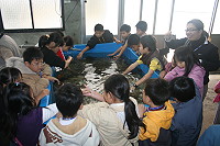 混水摸魚／圖與文：邱竟瑋