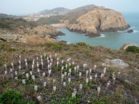 東莒呂何崖附近放置大批地雷,首見大批露天陳列。(圖:王建華提供)
