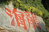 全村一起來熱鬧!(圖與文:張登傑、陳樂團)