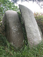 一刀兩斷／圖與文：陳鵬雄