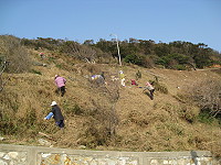 西莒島內軍民一起動員整地挖樹穴迎接植樹節。(圖/文:陳樂團)