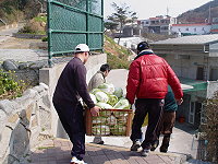 東引鄉公所贈送一批冬令自產蔬菜給學校辦理營養午餐。(圖:東引國中小提供)