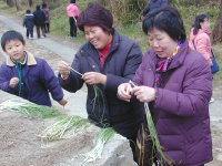 　全村一起來熱鬧！（圖與文：張登傑、陳樂團）