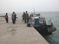 　政府安排船隻，大坵鄉親順利返鄉掃墓。（圖／文：陳鵬雄）