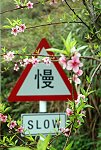 　「慢」裡尋風景。（圖與文：陳其敏）