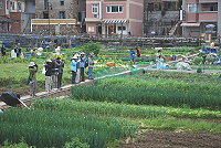 蔬菜公園前突然出現一群賞鳥人，台北野鳥學會二十餘人跨海前來欣賞春天馬祖過境鳥類。（圖／文：劉秋月）