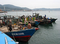 馬祖海巡隊再展鐵腕!昨海上威力大掃蕩,一口氣取締七艘非法越界作業之大陸漁船,展現海域權威。(圖/文:曹重偉)