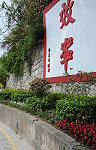 　建設局持續加強北竿地區路肩閒置空間綠美化工作。（圖／文：陳鵬雄）